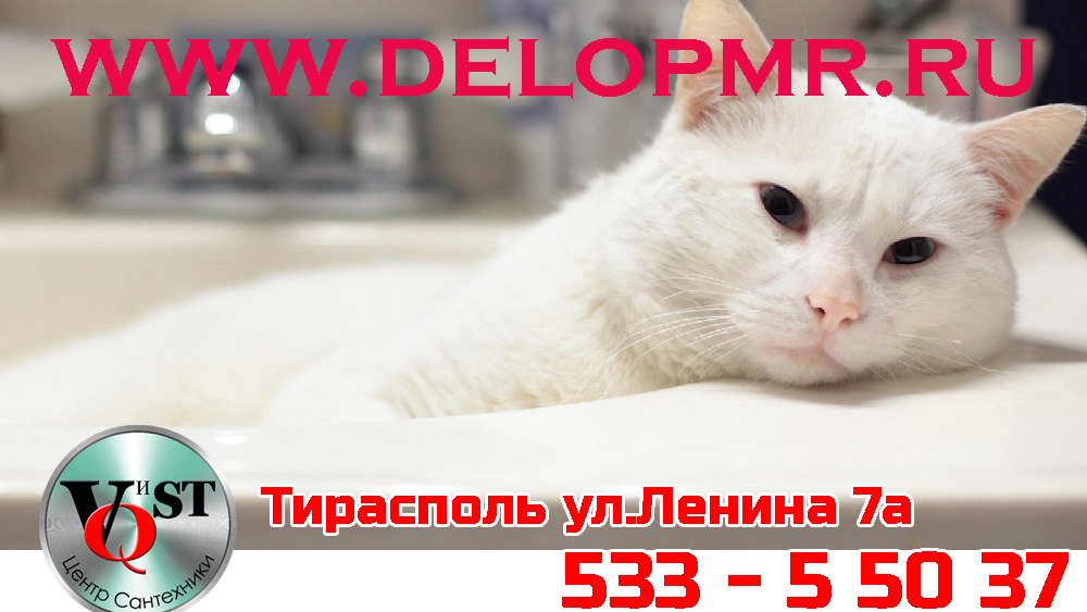 Покупаем в Тирасполе