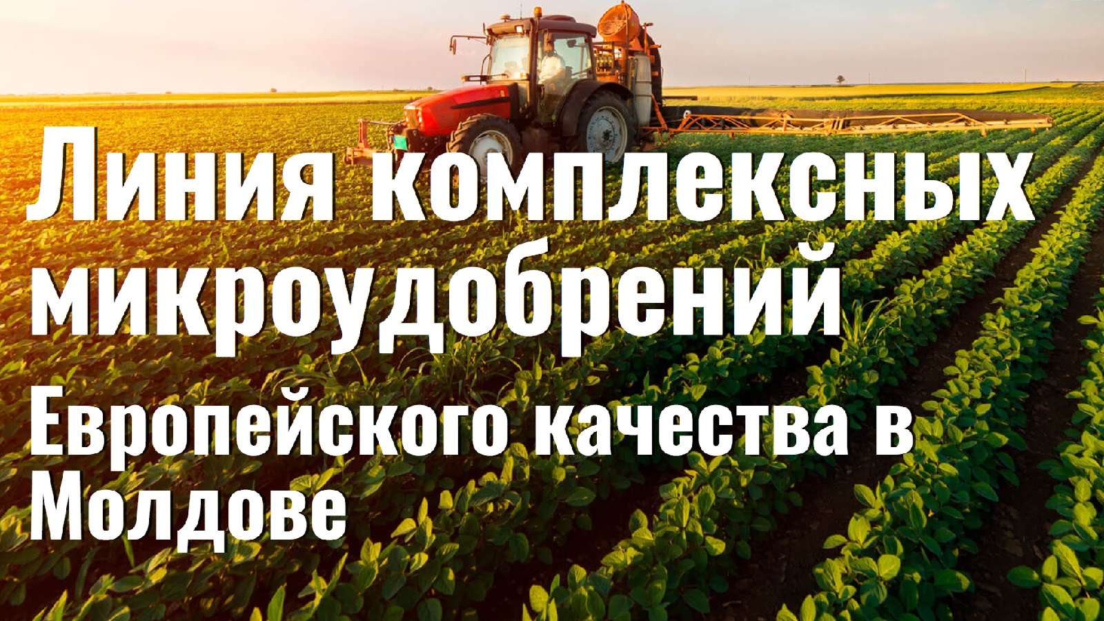 Молдова удобрения и химикаты