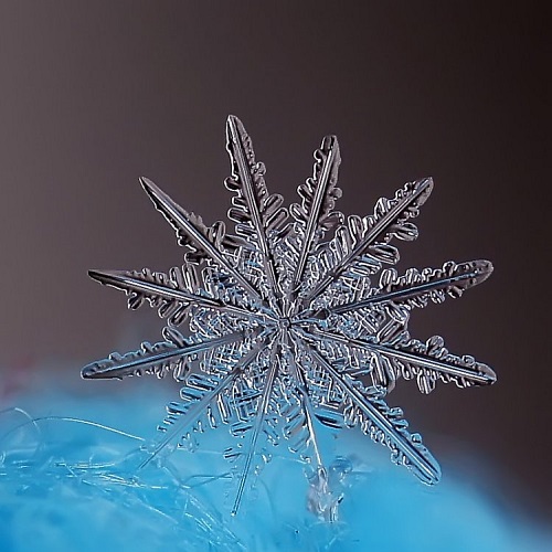 Компания Promcold предоставляет комплексные решения в сфере холодоснабжения в Молдове и Украине, охватывая весь цикл проекта от концепции до ввода в эксплуатацию.