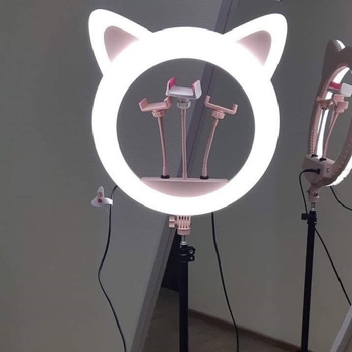 LED Кольцевые светодиодные лампы ПМР: купить в Магазине электроники и гаджетов в Тирасполе с доставкой по Приднестровью