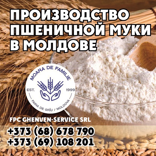 Пшеничная мука оптом - мука в мешках Кишинев с оптовой базы производителя