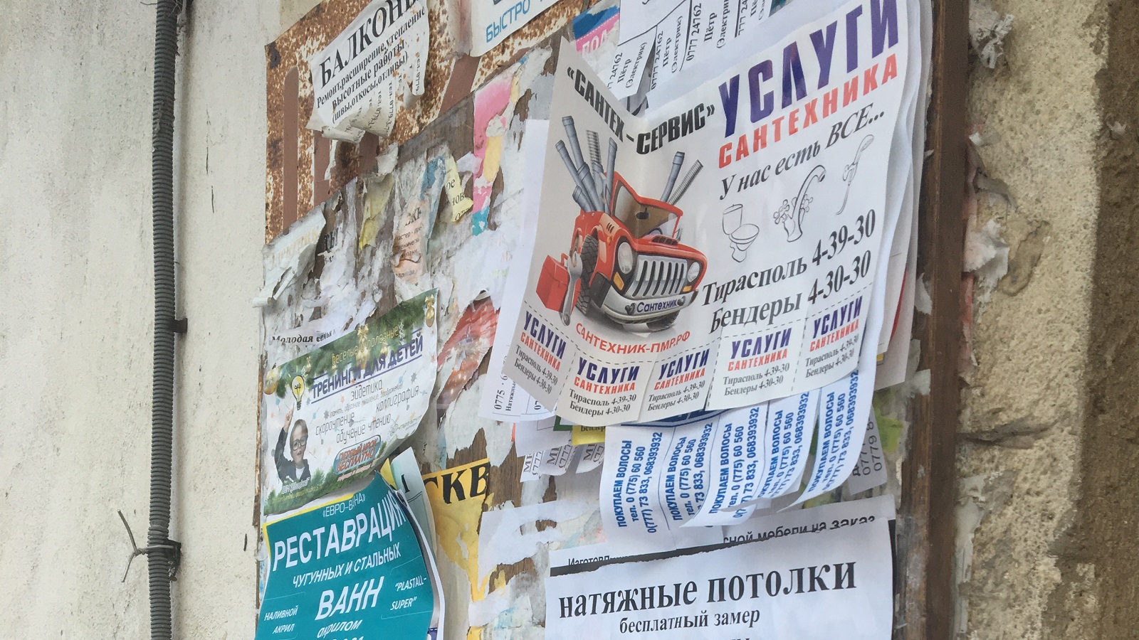 Листовки по почтовым ящикам. Распространение рекламы в ПМР