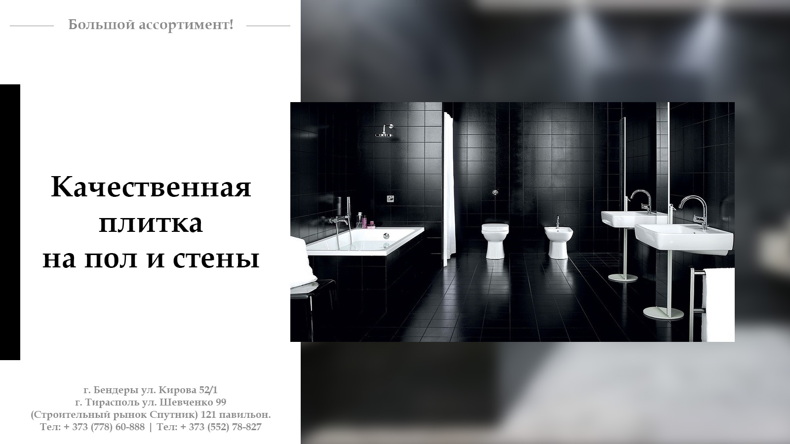 Настенная керамическая плитка Рыбница Керамин