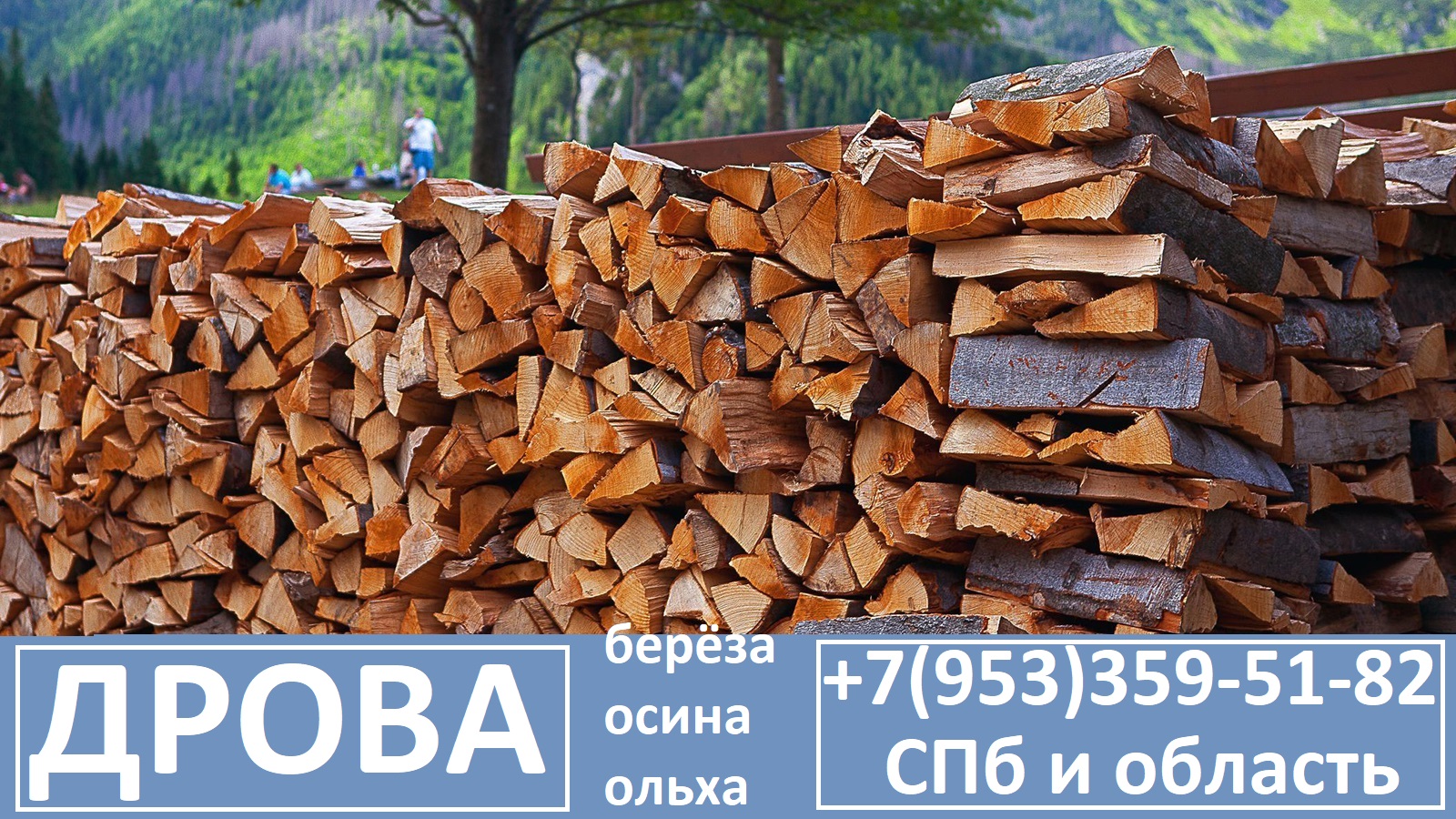 Дрова без выходных СПб - заготовка березовых дров
