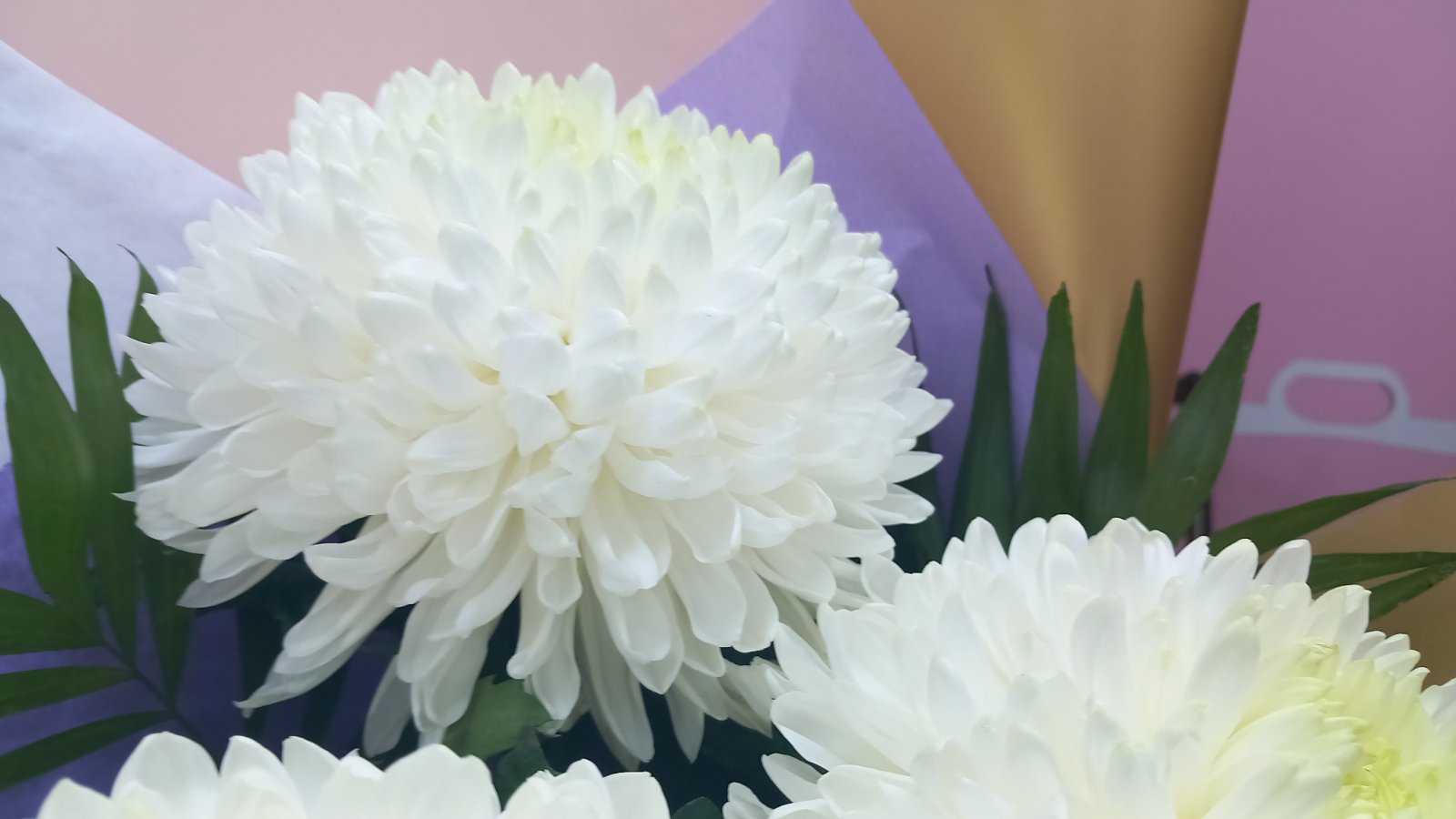Восторг - Мгновенная доставка цветов Тирасполь