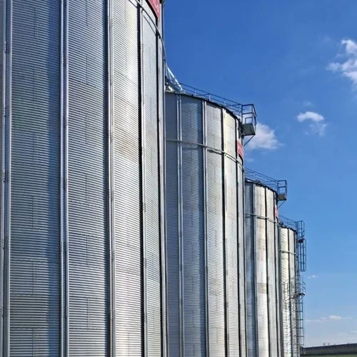 Buy Wheat Flour From Moldova | Direct Factory Supply
