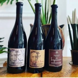 Leuntea Vin – VINO MOLDOVA