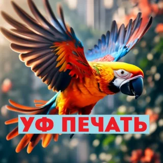 Яркая печать визиток и флаеров в Тирасполе. Разработка и дизайн под ваш проект в ПМР.
