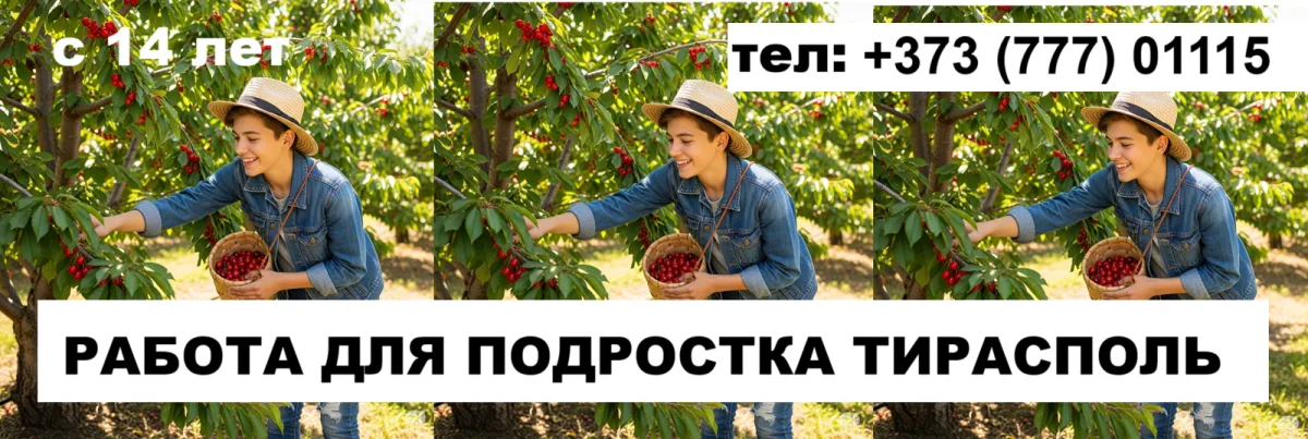 Летняя работа в Тирасполе для подростков | Подработка без опыта +373(777)-01-115