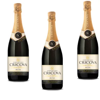 Cricova Pinot Meunier Extra Sec - Шампанское и игристые вина Cricova Тирасполь