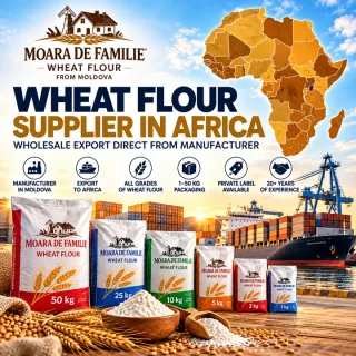 Wheat Flour Manufacturer & Supplier for Africa — Bulk Wholesale Export