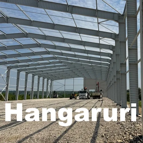 Construcții agricole în Moldova – obiecte agricole la cheie | Vastavit