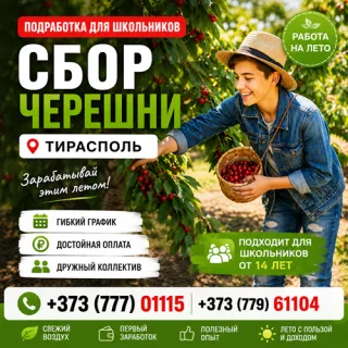 Сбор черешни в Тирасполе | Летняя работа для подростков +373(777)-01-115