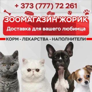 Доставка по Тирасполю зоотоваров для домашнего питомца от зоомагазина Жорик
