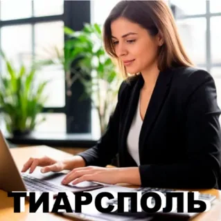 Экспресс-услуги бухгалтера в Приднестровье - заказать консультацию по бухгалтерии.