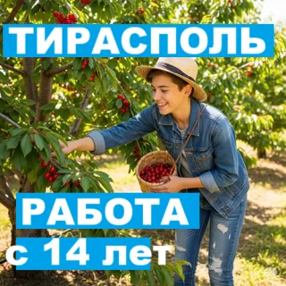 Работа для подростков в Приднестровье с 14 лет в Тирасполе