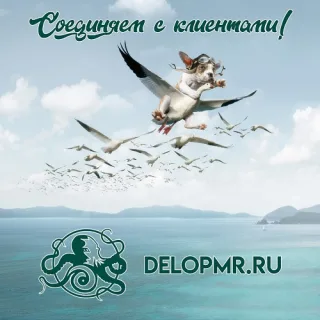 Web SEO Moldova - продвижение и оптимизация сайтов по Лучшей цене в Кишиневе