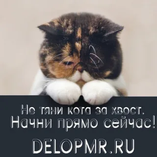 Создаем и творим эффективную рекламу в интернете - закажи продвижение товара в Молдове