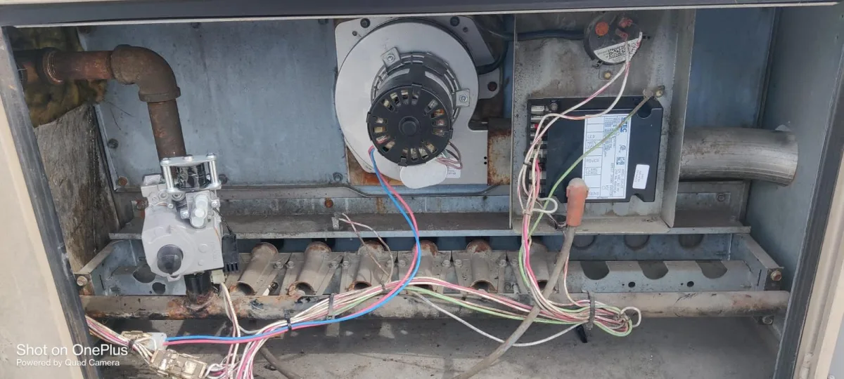 Republic of Cold: Your Houston Experts for Commercial Freezer Repair (832-591-8159)