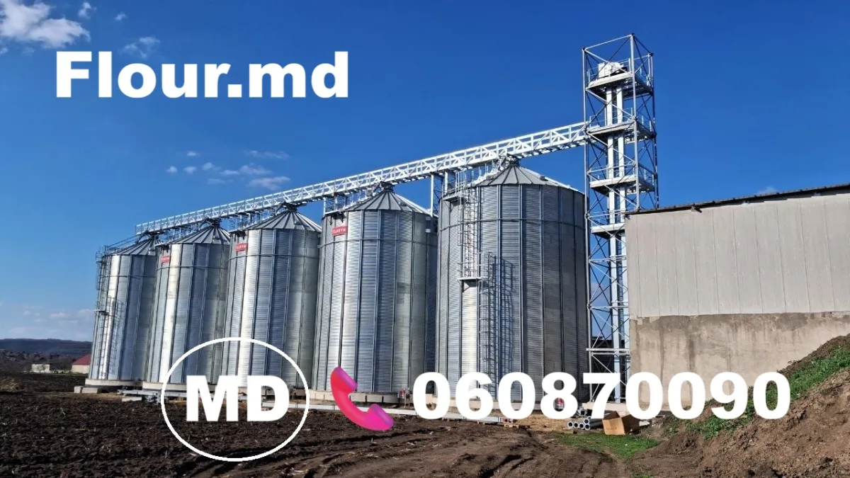 Wheat Flour Production in Moldova | Factory Direct Prices