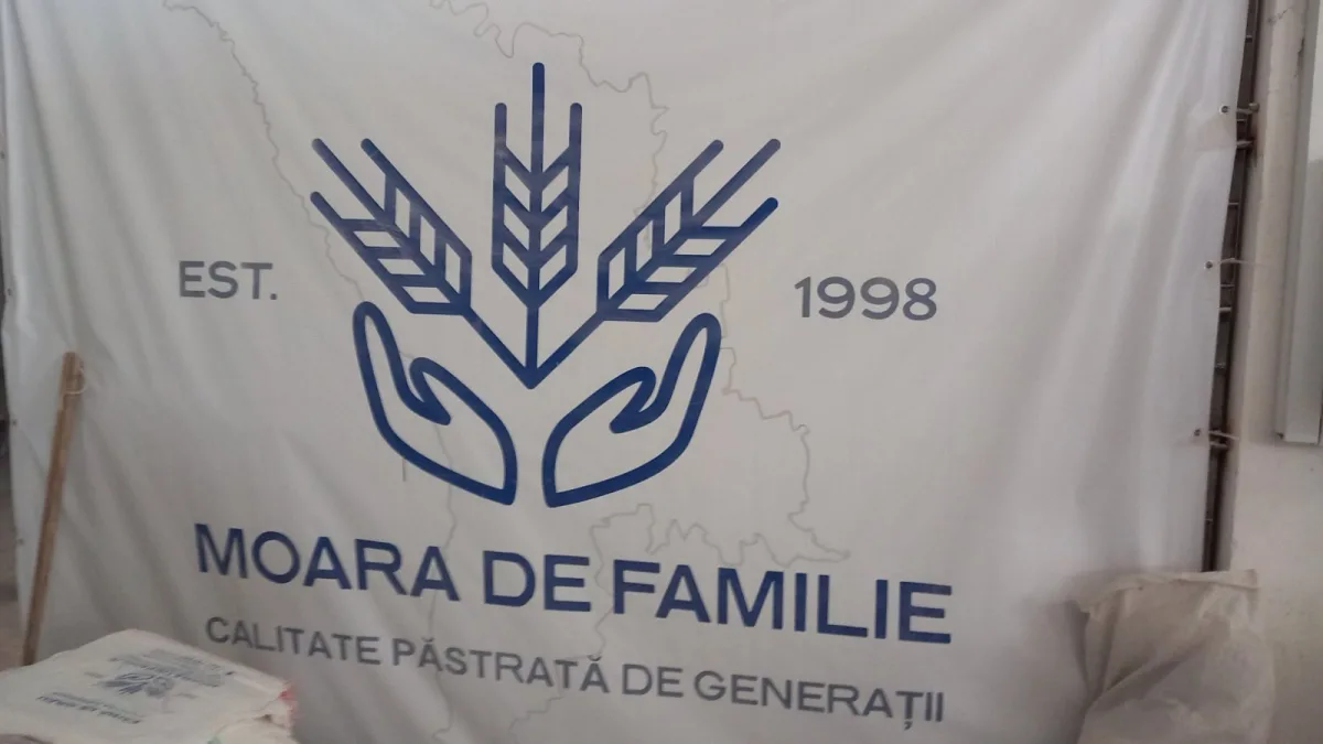 Купить пшеничную муку от производителя в Молдове — экспорт