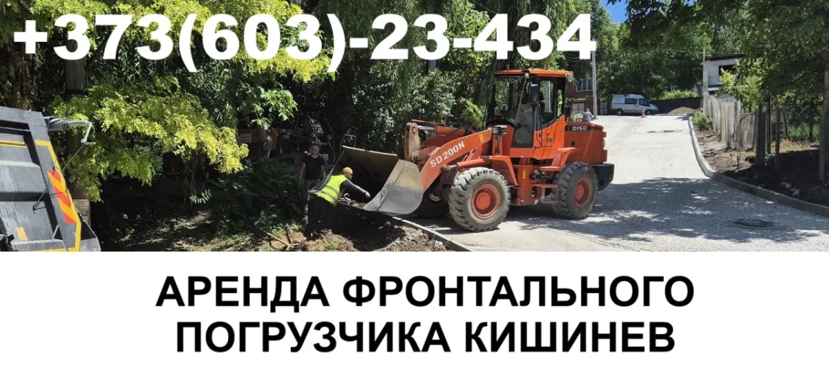 Аренда экскаваторов | VASTAVIT Молдова