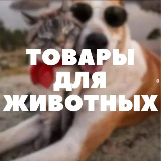 Пластиковые контейнеры для животных, поилки, кормилки, клетки, переноски