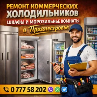Ремонт бытовой техники для кафе и ресторанов Тирасполь: профессиональное оборудование, выезд. Обслуживание коммерческой техники.