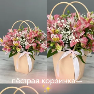 Пестрые и яркие альстромерии в Тирасполе - купить и заказать доставку букетов в Тирасполе