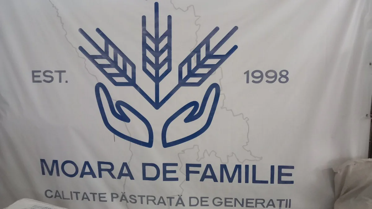 Wheat Flour Moldova - Wholesale prices from the Manufacturer