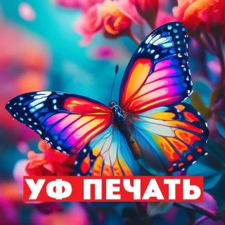 Производство и печать рекламы Тирасполь ПМР: Яркая и красочная рекламная продукция в Приднестровье