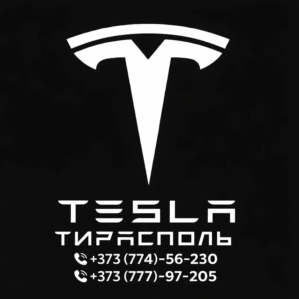 Tesla Тирасполь — Детали для Электромобилей