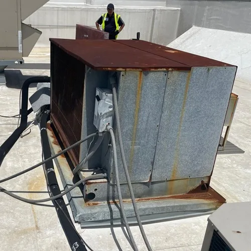 Commercial Walk-in Freezer Solutions For Business