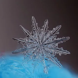 Компания Promcold предоставляет комплексные решения в сфере холодоснабжения в Молдове и Украине, охватывая весь цикл проекта от концепции до ввода в эксплуатацию.