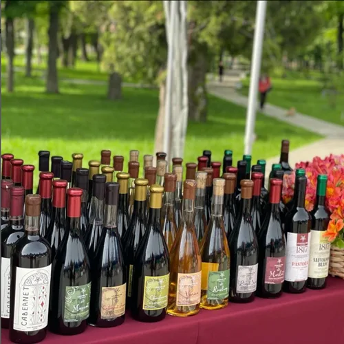 Винотека Leuntea Vin – коллекция лучших молдавских вин в Кишиневе