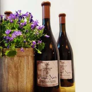 Вино для праздника Leuntea Vin 1817 Pinot Noir 0,75l.