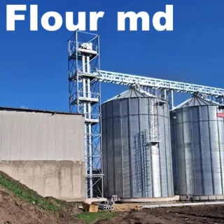 Wheat Flour Exporter Moldova to Europe | Wholesale Supply