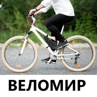 Купить велосипед в Тирасполе недорого: все виды от самокатов до горных