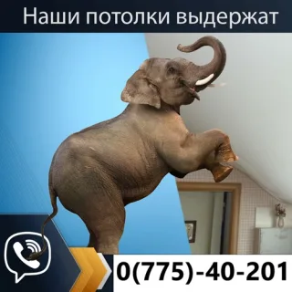 Тирасполь Потолок ПМР - Евро Потолки в Тирасполе