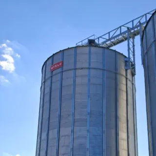 Сколько стоит зерно в Молдове – скупка зерна дорого ☎ 0(686)-78-790