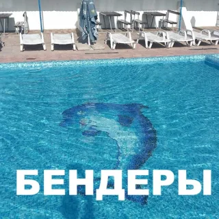 Отдых в Бендерах: OAZIS PARK – твой билет в мир водных приключений!